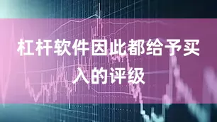 杠杆软件因此都给予买入的评级