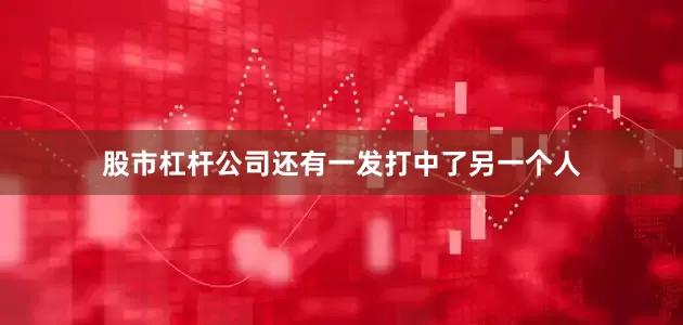 股市杠杆公司还有一发打中了另一个人