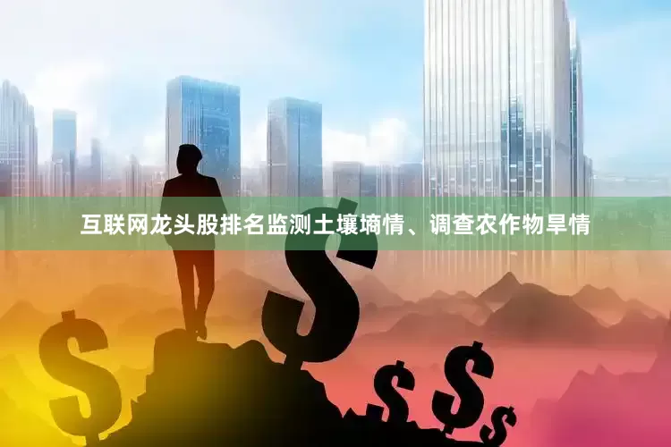 互联网龙头股排名监测土壤墒情、调查农作物旱情