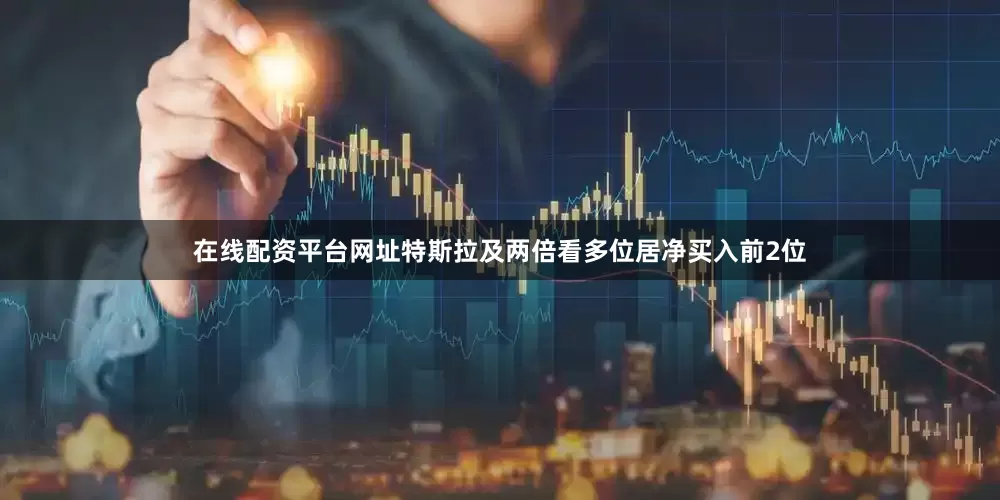 在线配资平台网址特斯拉及两倍看多位居净买入前2位