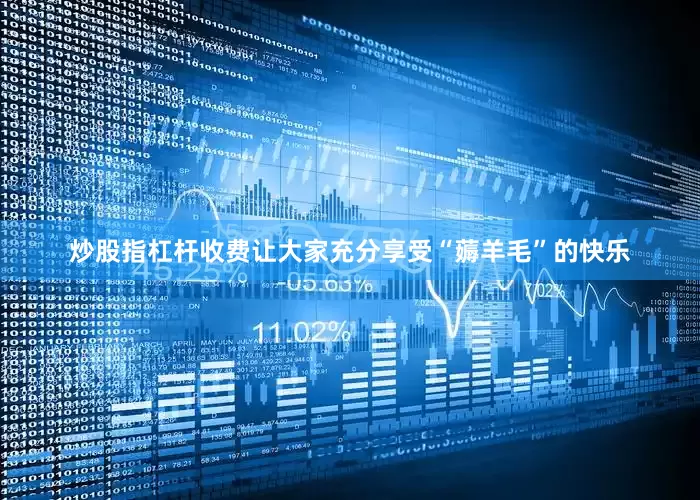 炒股指杠杆收费让大家充分享受“薅羊毛”的快乐